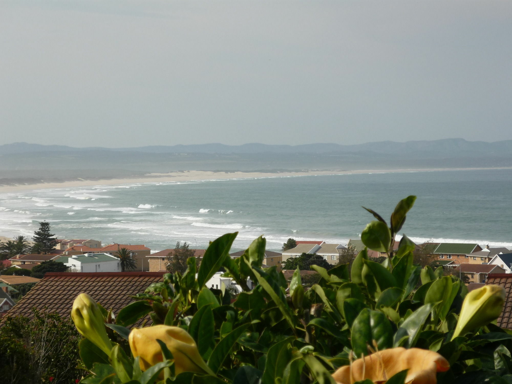 A1 Kynaston Self Catering Or Bed And Breakfast Jeffreys Bay Exterior foto
